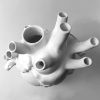 Vase In The Shape Of Human Heart, Home Decoration, Desktop Art Craft Ornament, Exquisite And High-end Indoor Vase, Organ Design Flower Container