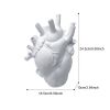 Vase In The Shape Of Human Heart, Home Decoration, Desktop Art Craft Ornament, Exquisite And High-end Indoor Vase, Organ Design Flower Container
